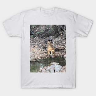 Tiger 4 T-Shirt